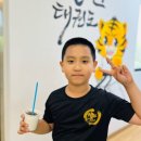상원태권도장 네이버블로그