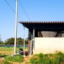 이평농장 이미지