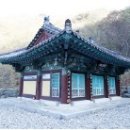 대안동 신흥사 구 대웅전 이미지