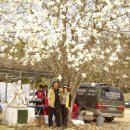 강당초등학교 이미지