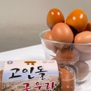 지경영농조합법인