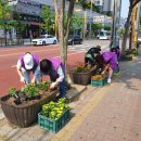 와동1로 이미지