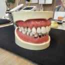 바로심는치과의원 이미지