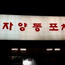 자양동포차 이미지
