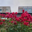 마실(언양) 이미지