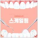 이턱퍼스트치과의원 이미지