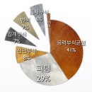 유형스틸 이미지