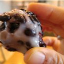 해동떡방앗간 이미지