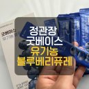 (주)젠푸드 | 정관장 굿베이스 유기농 블루베리 퓨레로 즐기는 블루베리원액, 블루베리요거트