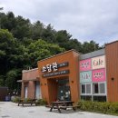 태림차유리 | 녹음 찾아 떠난 춘천 1박 2일 ☘️(춘천숲체원, 숲해설)