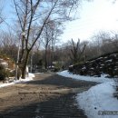 대성사목불좌상 이미지