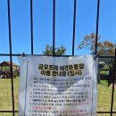 노금오 | [제주/한림] 다시 찾은 ‘금오뜨레’, 야간 개장으로 더 완벽해진 제주 애견운동장 추천