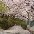 배산사거리(배산공원 방향) 이미지