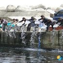 자원개발연구소 뉴시스