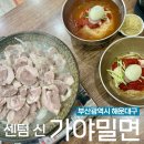 &lt;부산광역시&gt; 해운대 3대 밀면 맛집, 벡스코 근처 식당 “센텀신가야밀면”