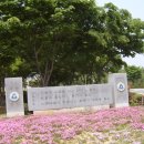 금락1리 이미지