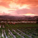 병길농장 이미지