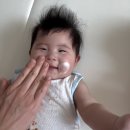 유기농 아기워시 &amp; 아기로션 케일라가든 사용 후기
