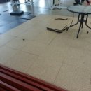 시드니 휘트니스 이미지