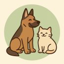 인천서구청라 가치가요 펫택시 이미지