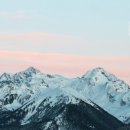 원빈(1bean) 이미지