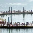 가우도 복합낚시공원 이미지