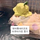 세븐일레븐부여제일점 | 8개월 아기와 부여 롯데리조트 아쿠아가든 후기｜운영시간, 요금, 유스풀, 준비물까지 정리