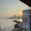 애코랜드 | 🐾 해운대 허스키 4마리가 있는 카페 애코랜드 내돈내산 솔직후기 | 카카오 리뷰 요약