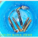 용신16 이미지