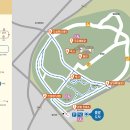 소나무부분정비 이미지