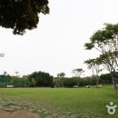 영등포공원 이미지