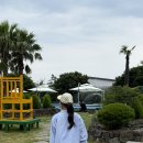 더블노래연습장 | 제주 서쪽여행 한림리조트 가족숙소로 추천 | 스탠다드 더블룸 숙박 후기