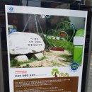 부암3동-17 이미지