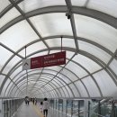 용산-130 | 노보텔 앰배서더 서울 용산 수영장, 뷔페 후기 - 아이와 호캉스 즐기는 꿀팁