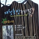 대청호오백리길 대청로하스길 이미지