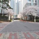 늘푸른단지공인중개사사무소 이미지