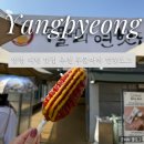 연코스메틱 | [양평] 두물머리 연핫도그 내돈내산 후기 + 연잎아이스크림 & 러쉬빌리지까지 한 번에 즐기기