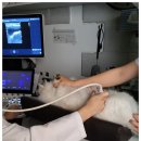 정직한동물의료센터 이미지