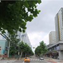 태인~당산 이미지