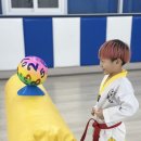 화남 태권도 이미지