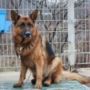 대향산길 이미지