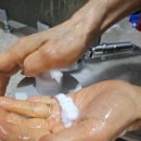 린스 | 린스추천 두피안티에이징까지 되는 헤어컨디셔너, 탈모린스 써본 후기