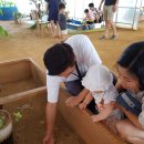 하빈염소농장 이미지