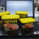 갤러리PC 이미지