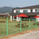 메이저 애견훈련학교 이미지