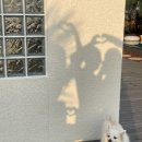 빛채움 스테이 이미지