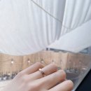 소나무디자인 이미지