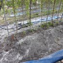 송아리농장 이미지