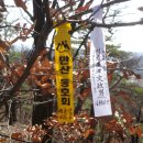 구룡교