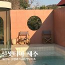 선셋티아 이미지